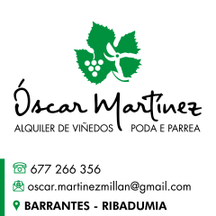 A_3394_M_3450_3478_OSCAR-MARTINEZ-ALQUILER-VIÑEDOS-.jpg