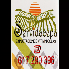 A_3650_M_3684_3964_SERVIDACEPA-16.jpg
